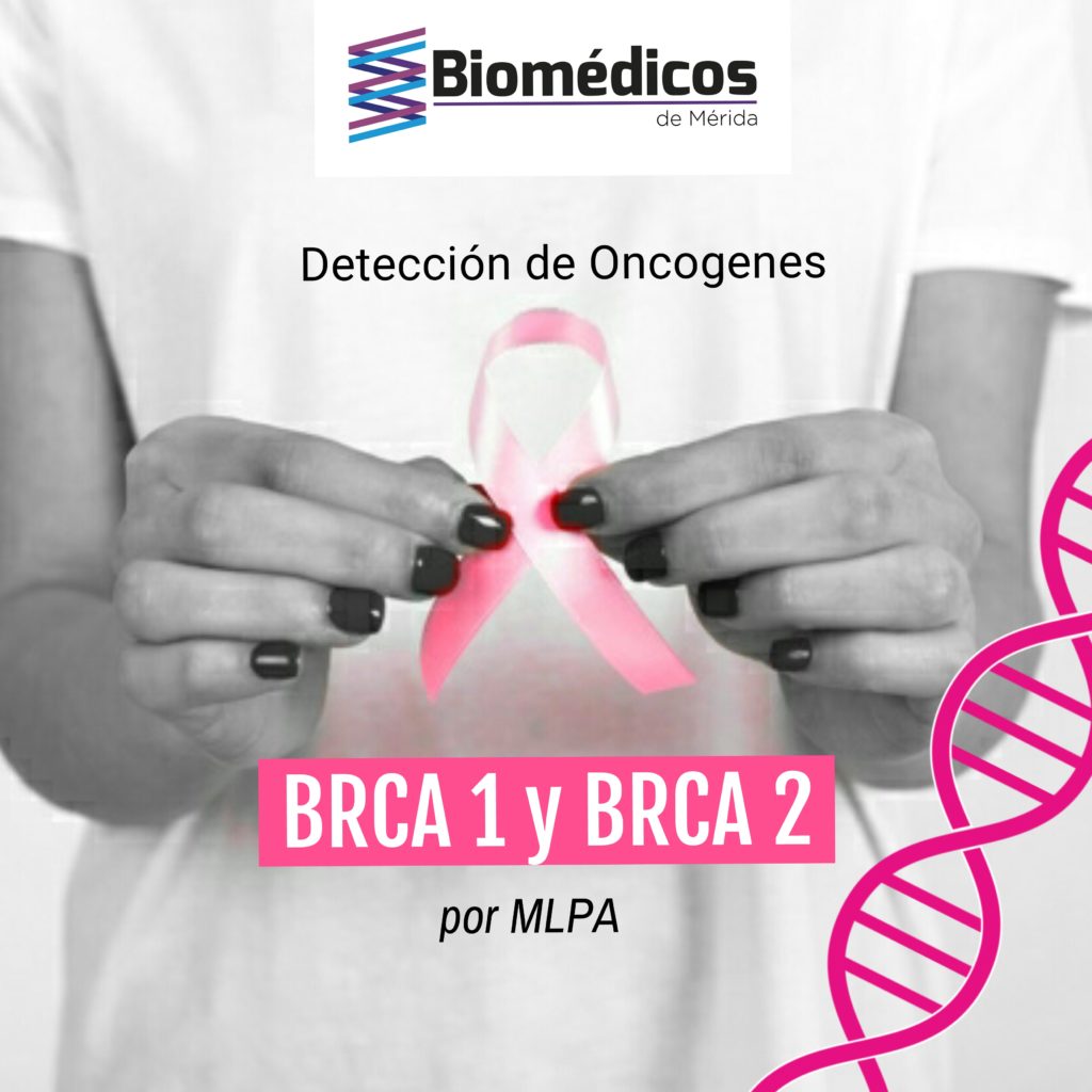 BRCA 1 y BRCA 2