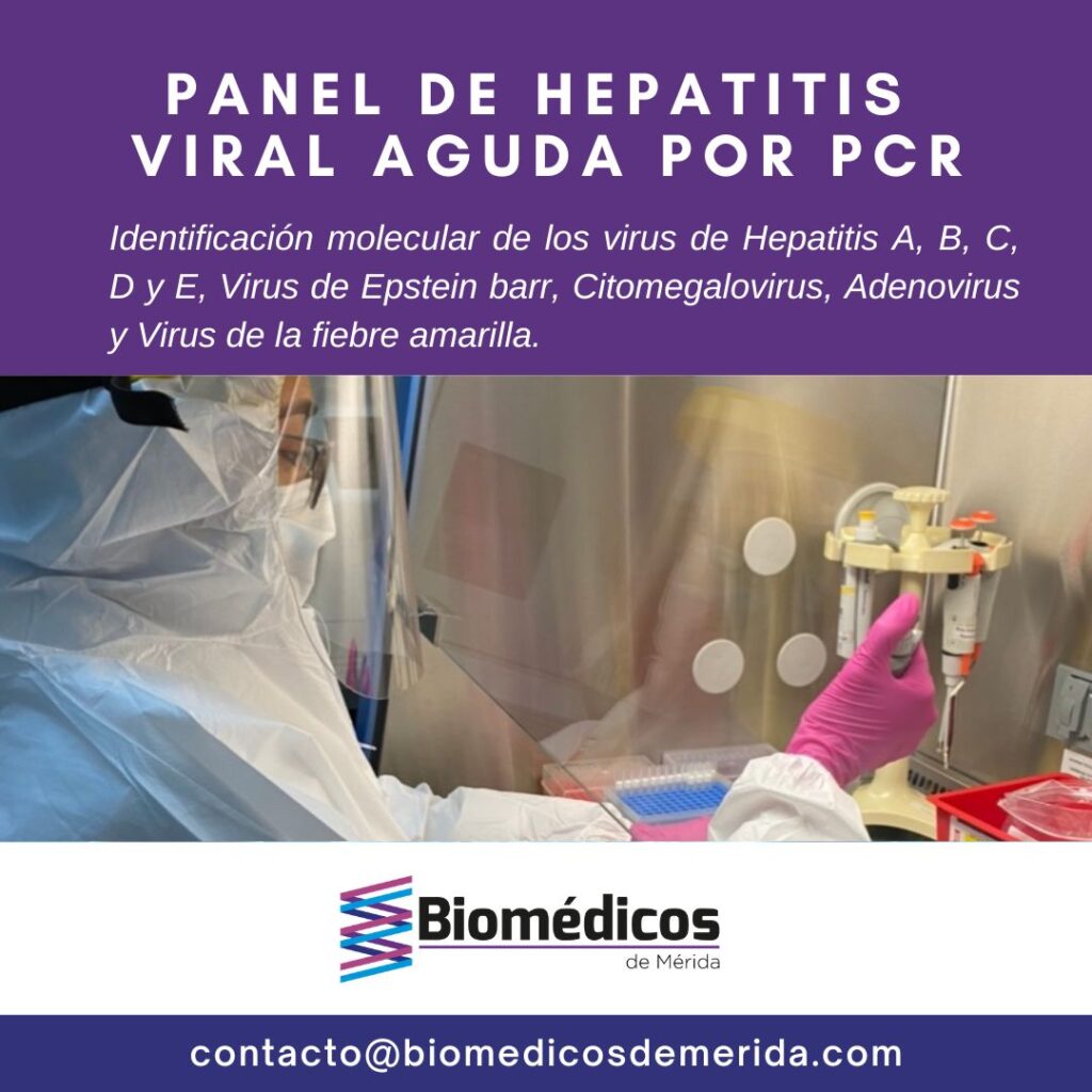 Panel de Hepatitis Viral por PCR